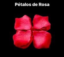 PETALO ROSA RF-153